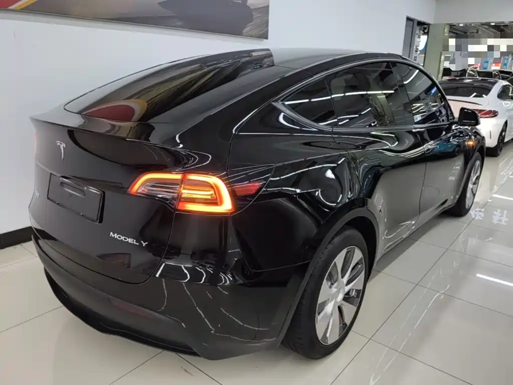 Tesla Model Y — миниатюра 7