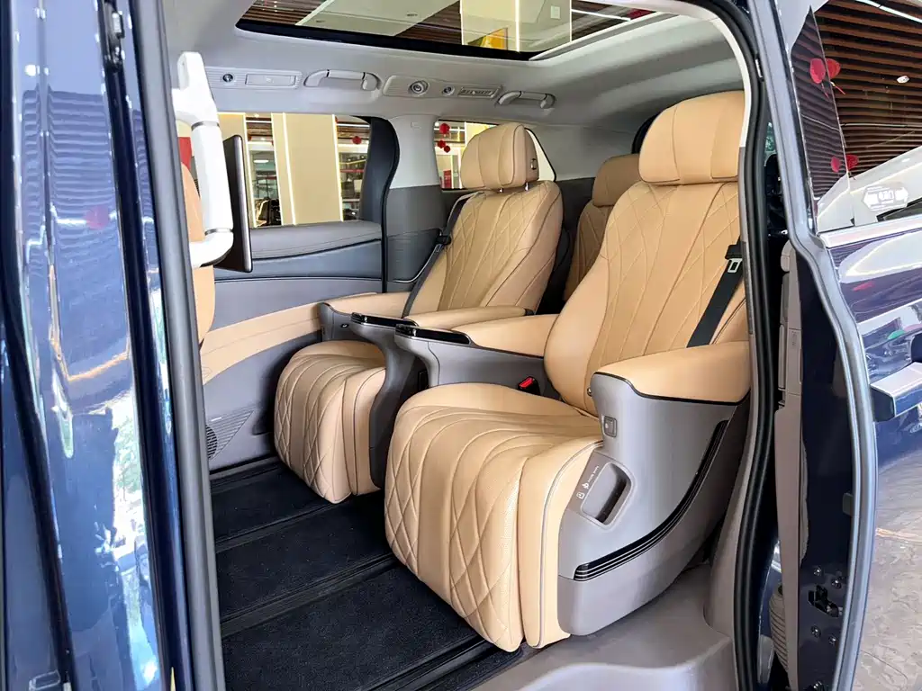 Denza Denza D9 — миниатюра 13