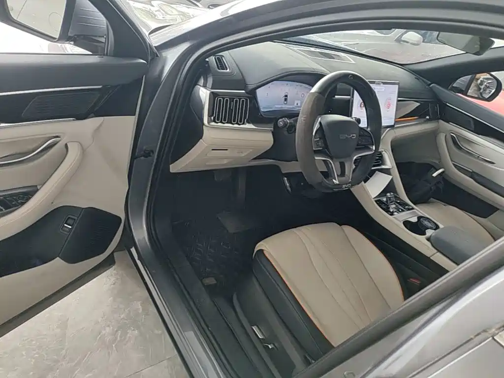 BYD PLUS New Energy — миниатюра 14