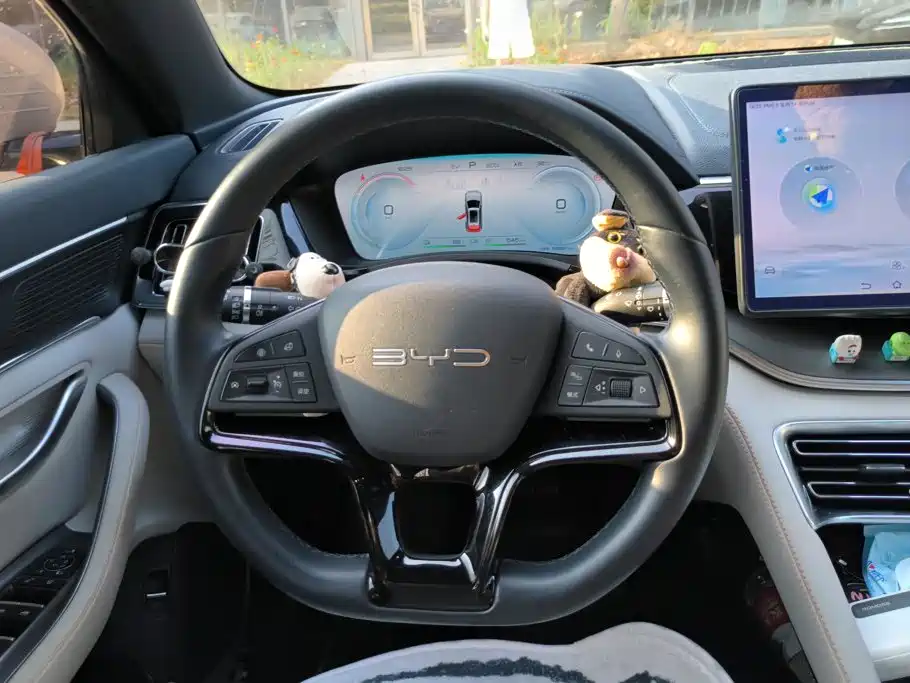 BYD PLUS New Energy — миниатюра 15