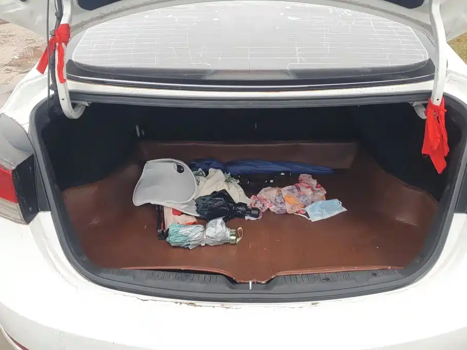 Hyundai Elantra Langdong — миниатюра 4