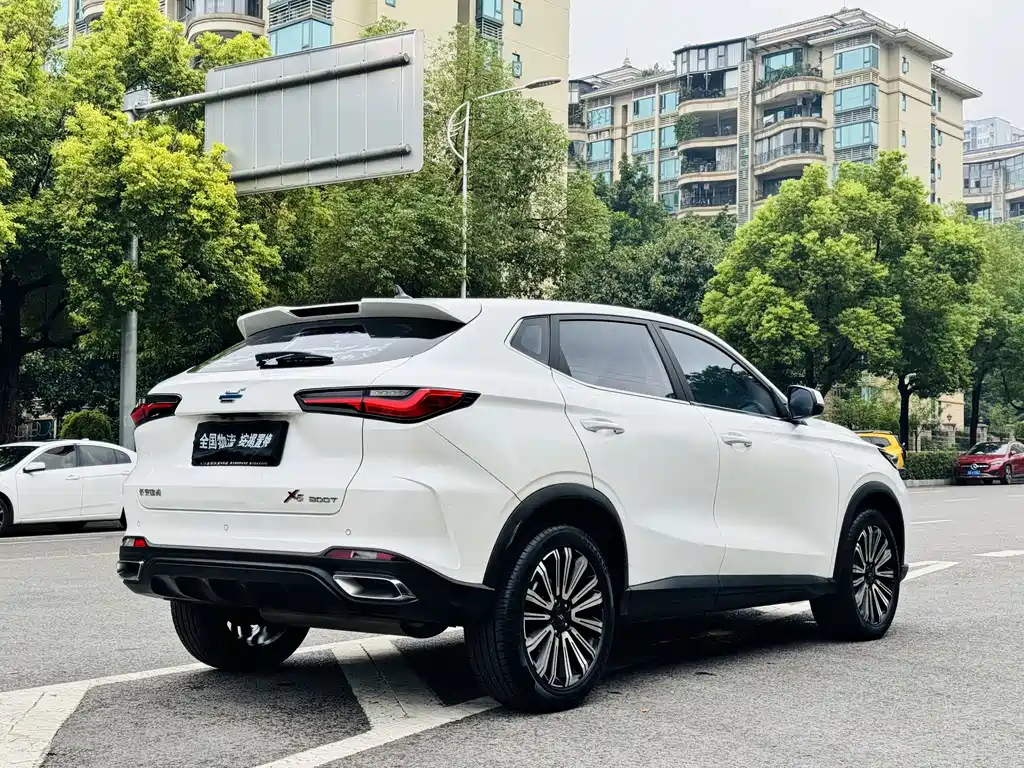 Oshan Oushang X5 — миниатюра 3