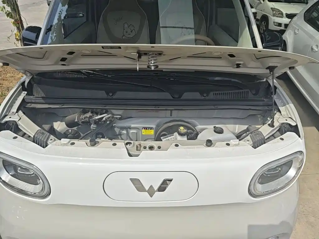 Wuling MINIEV — миниатюра 20