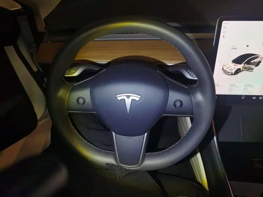 Tesla Model 3 — миниатюра 15