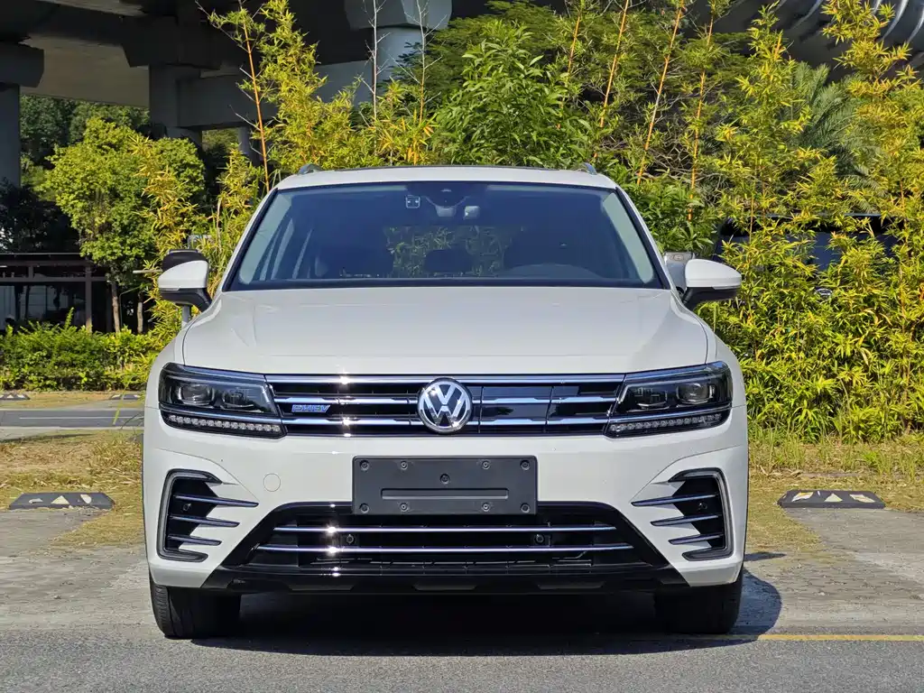 VOLKSWAGEN TIGUAN L NEW ENERGY