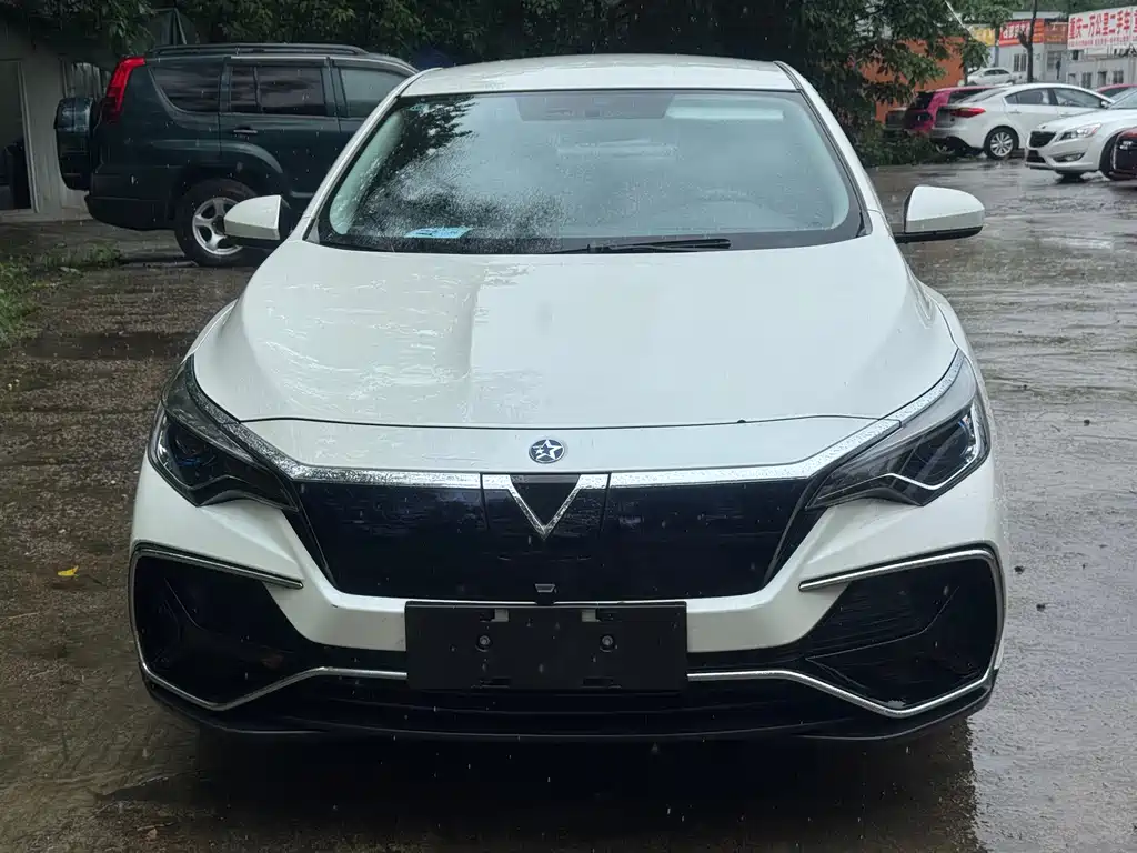 Venucia D60 EV — миниатюра 2