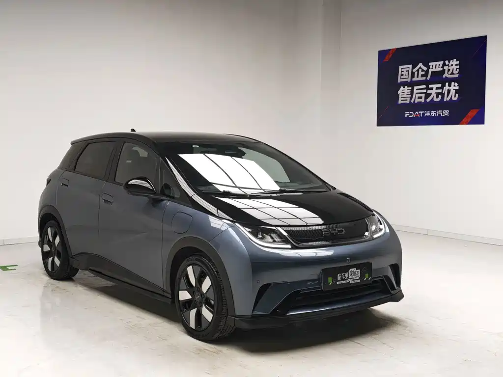 BYD Dolphin — миниатюра 3
