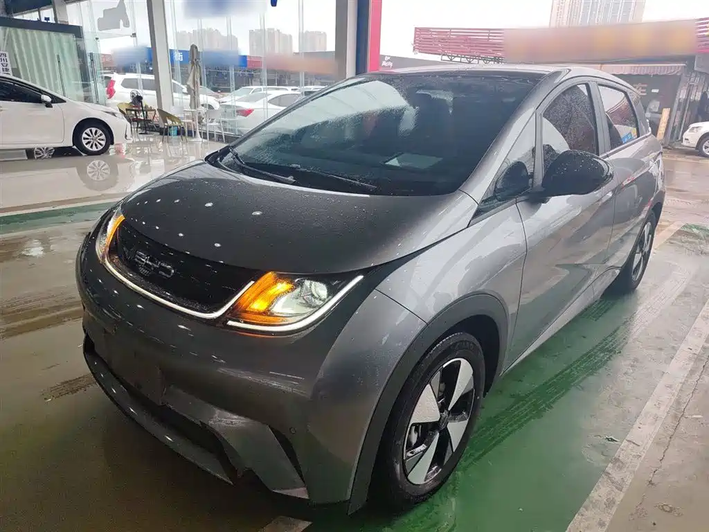 Byd Dolphin 2024