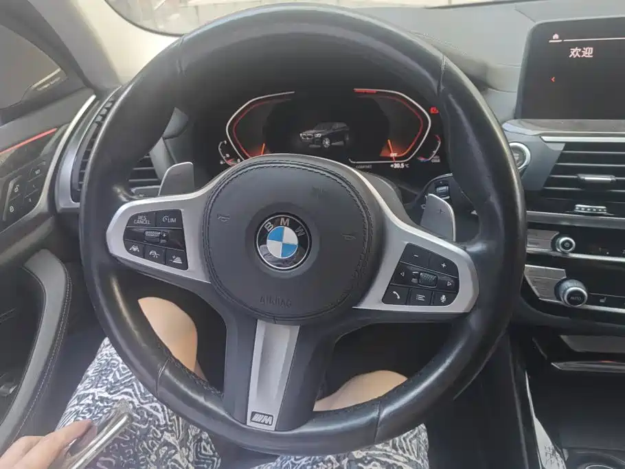 BMW X3 — миниатюра 15