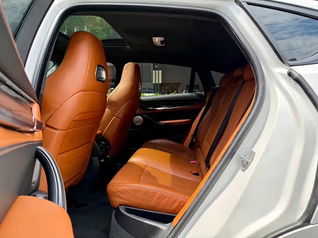 BMW X6 M X6 M, фото 22