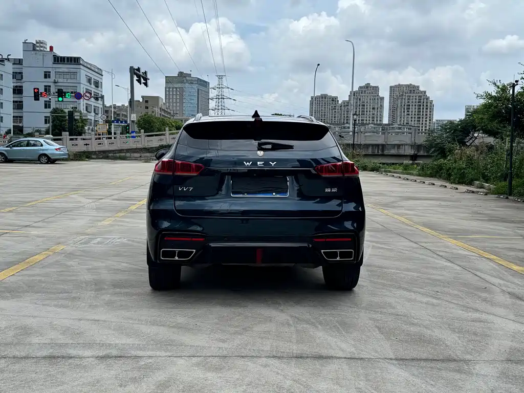 WEI PAI WEI BRAND VV7