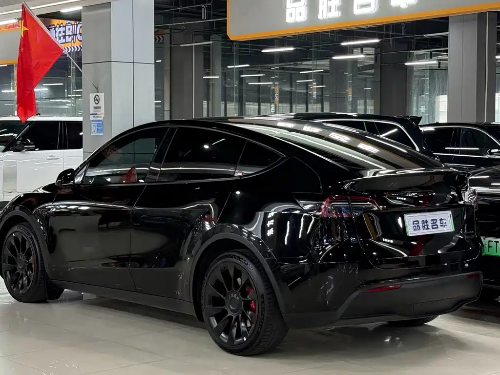 Tesla Model Y — миниатюра 3