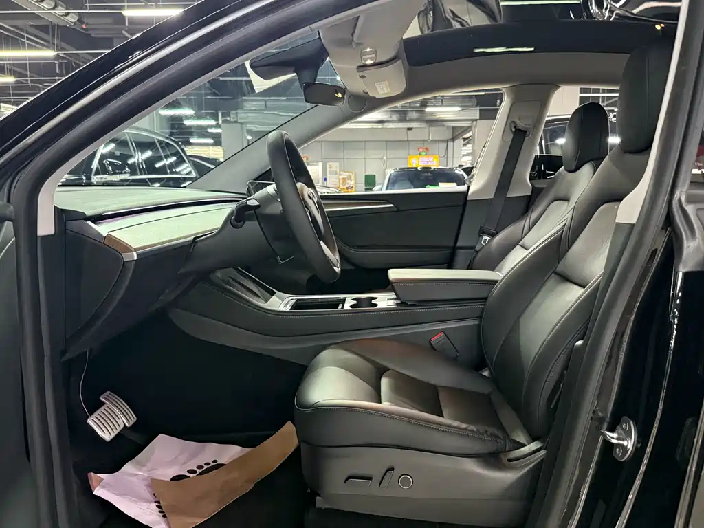 Tesla Model Y — миниатюра 5