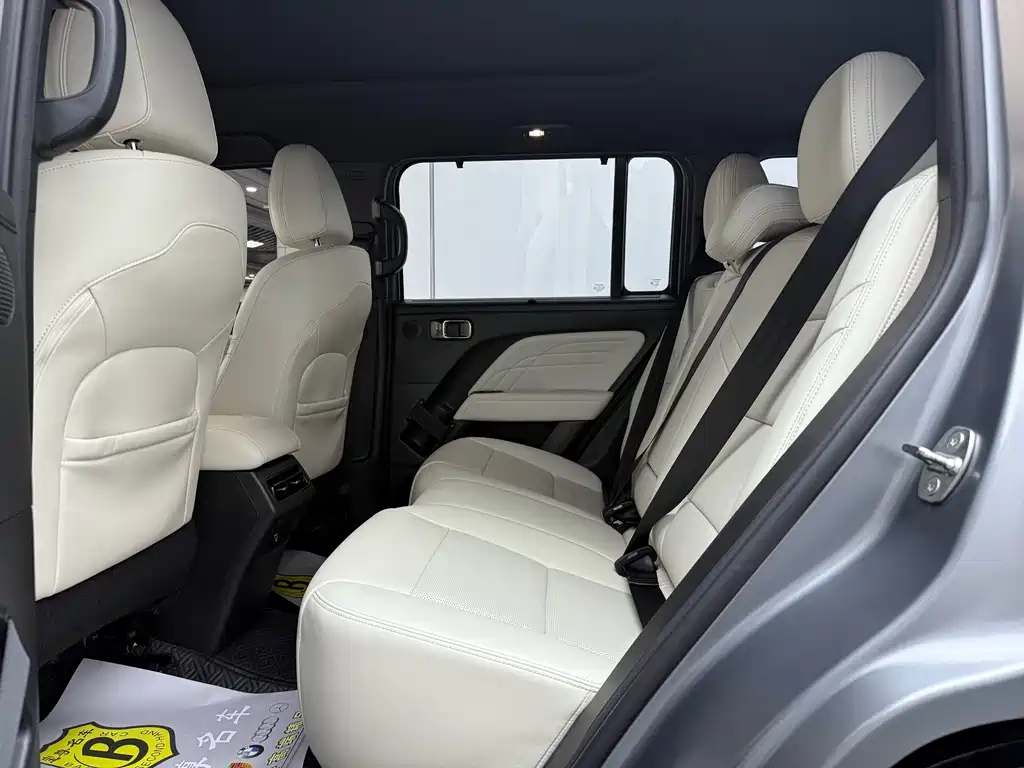 Haval Menglong New Energy Hi4 145 Cross Edition, фото 8