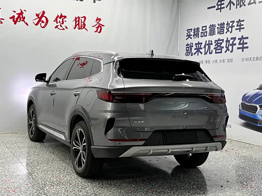 BYD PLUS — миниатюра 15