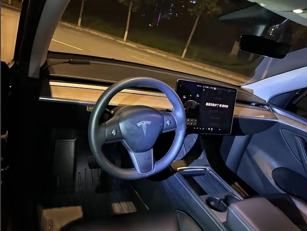 Tesla Model Y — миниатюра 14