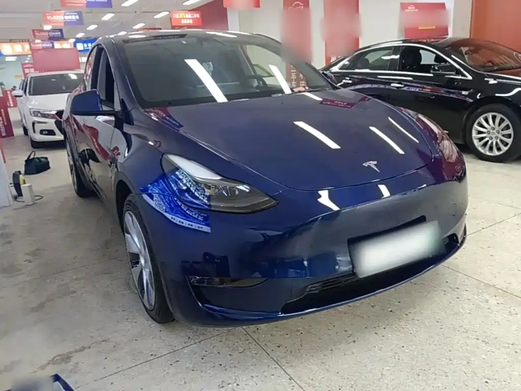 Tesla Model Y — миниатюра 4