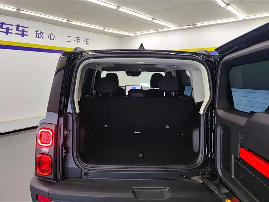 HAVAL RAPTORS NEW ENERGY