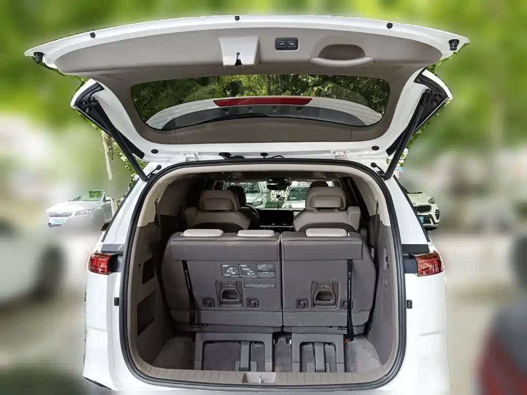 Kia Carnival — миниатюра 10