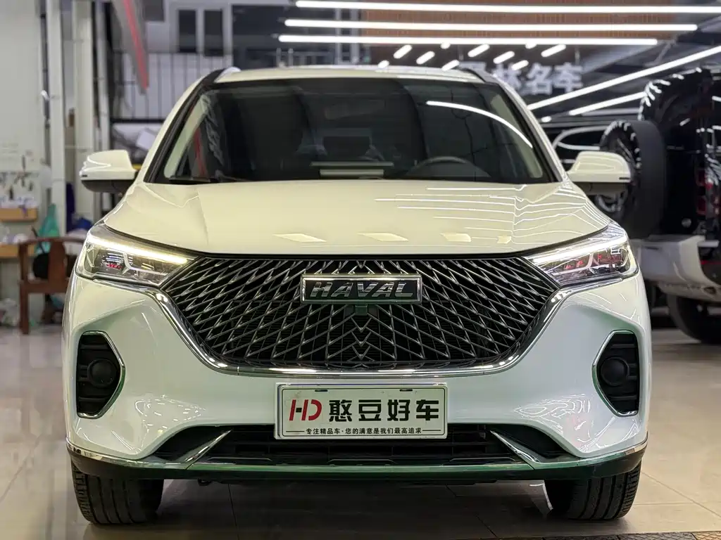 HAVAL M6