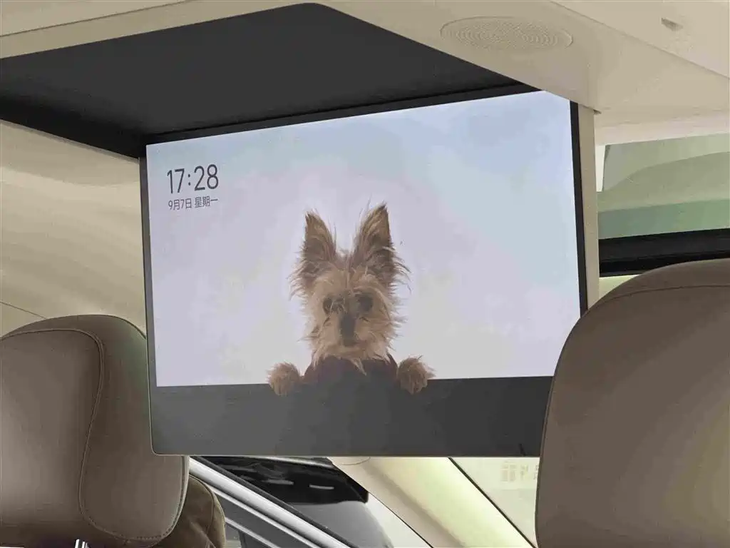 Li Auto Li i8 — миниатюра 11