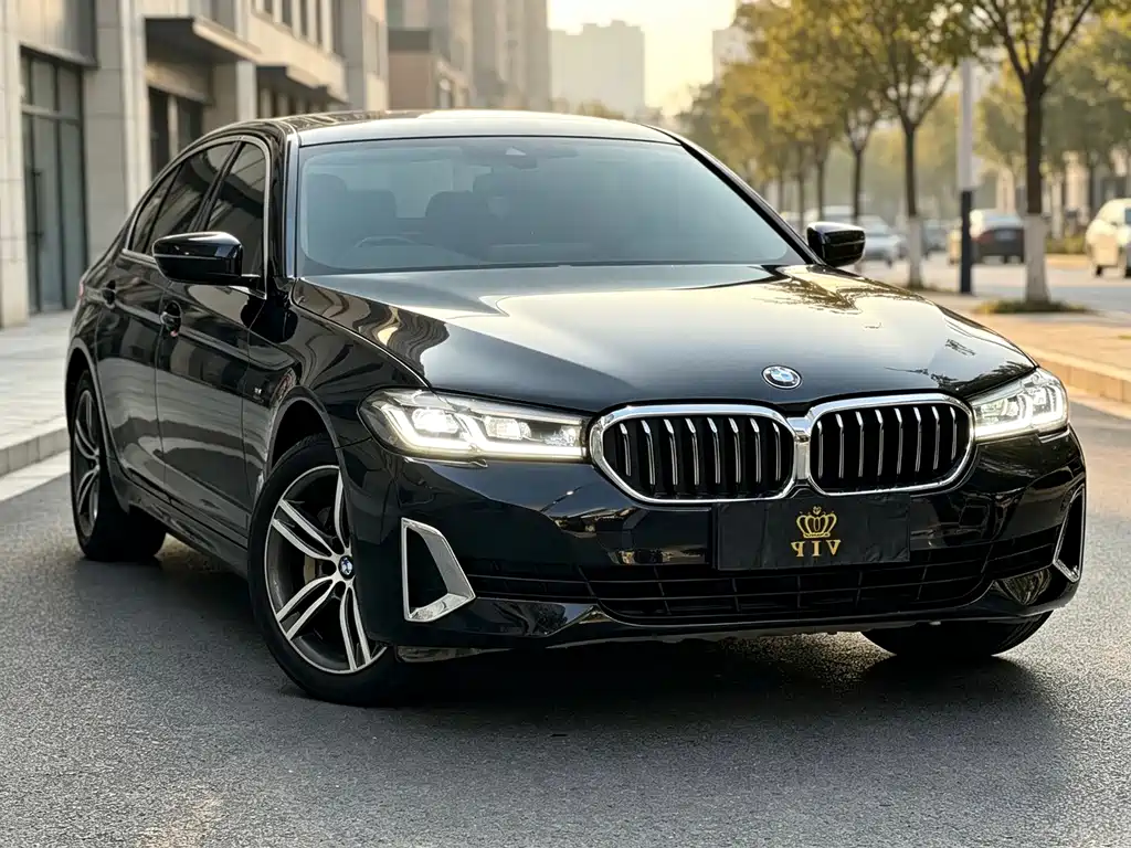 BMW 5 Series — миниатюра 3