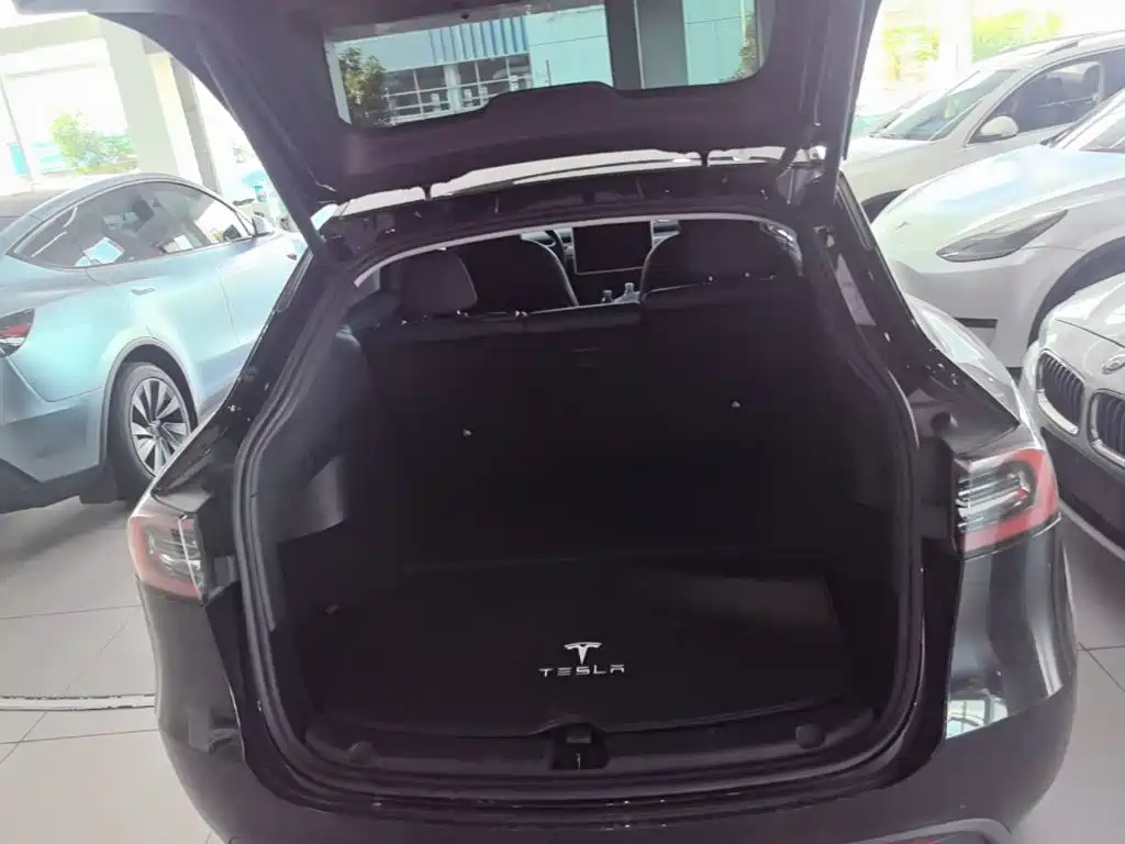 Tesla Model Y — миниатюра 19