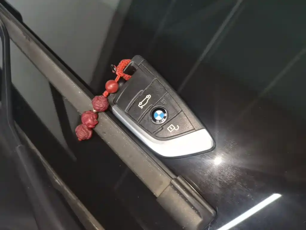 BMW X1 — миниатюра 9