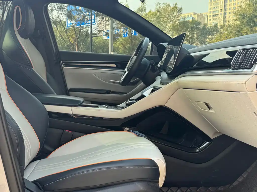 BYD PLUS New Energy — миниатюра 17