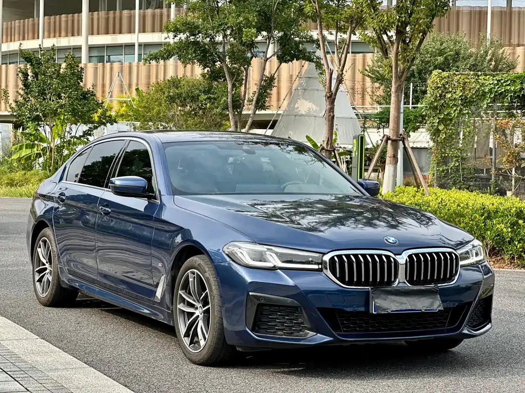 BMW 5 Series — миниатюра 3