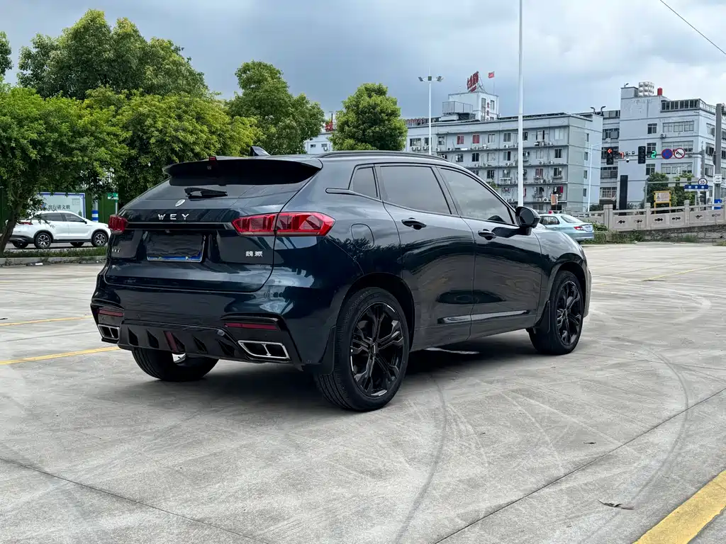 WEI PAI WEI BRAND VV7