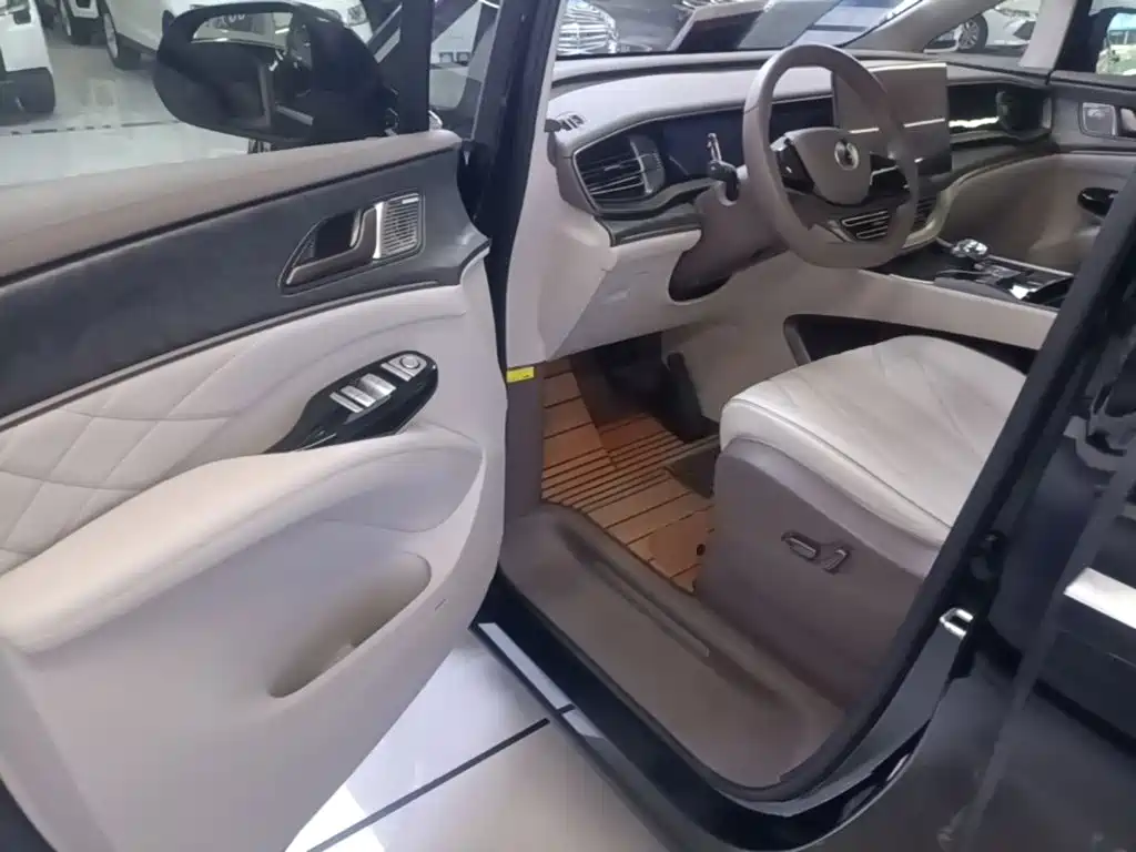 Denza Denza D9 — миниатюра 16