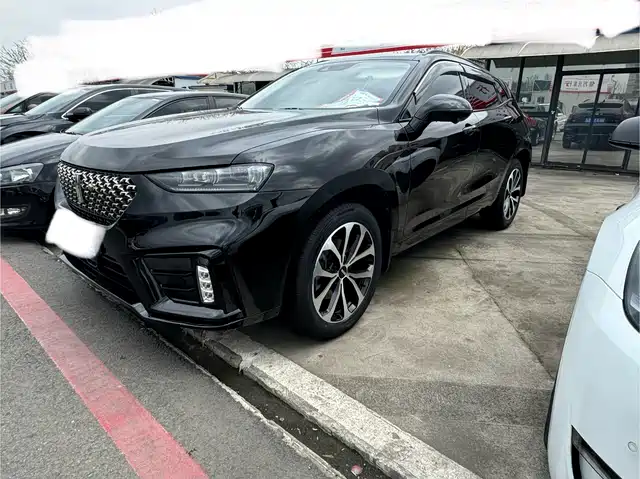 WEI PAI WEI BRAND VV7