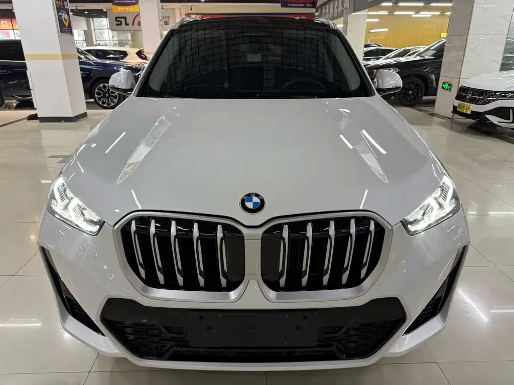 BMW X1 — миниатюра 2