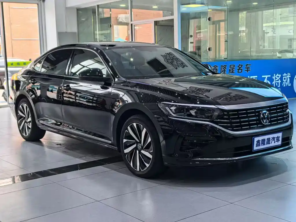 Volkswagen Passat — миниатюра 3