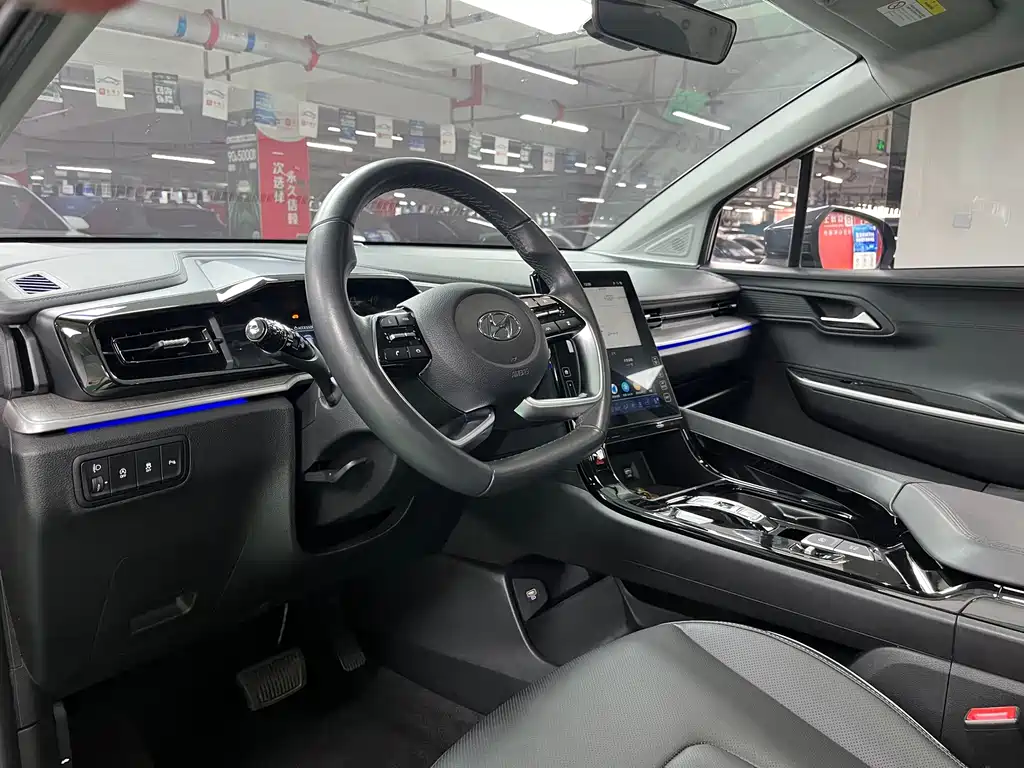 Hyundai Custo — миниатюра 9