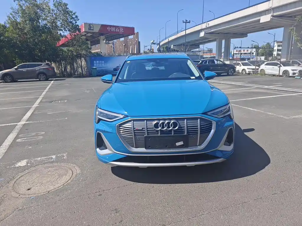 Audi e-tron — миниатюра 2