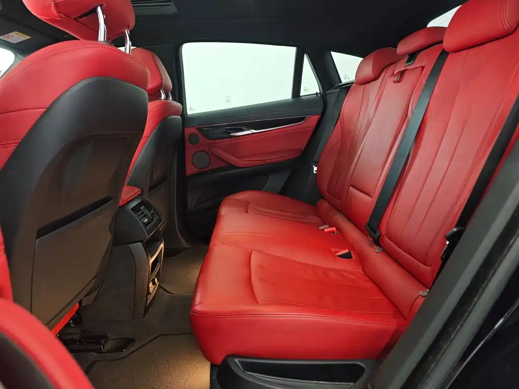 BMW X6 — миниатюра 12