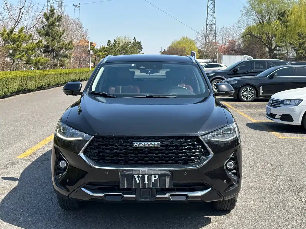 HAVAL F7X