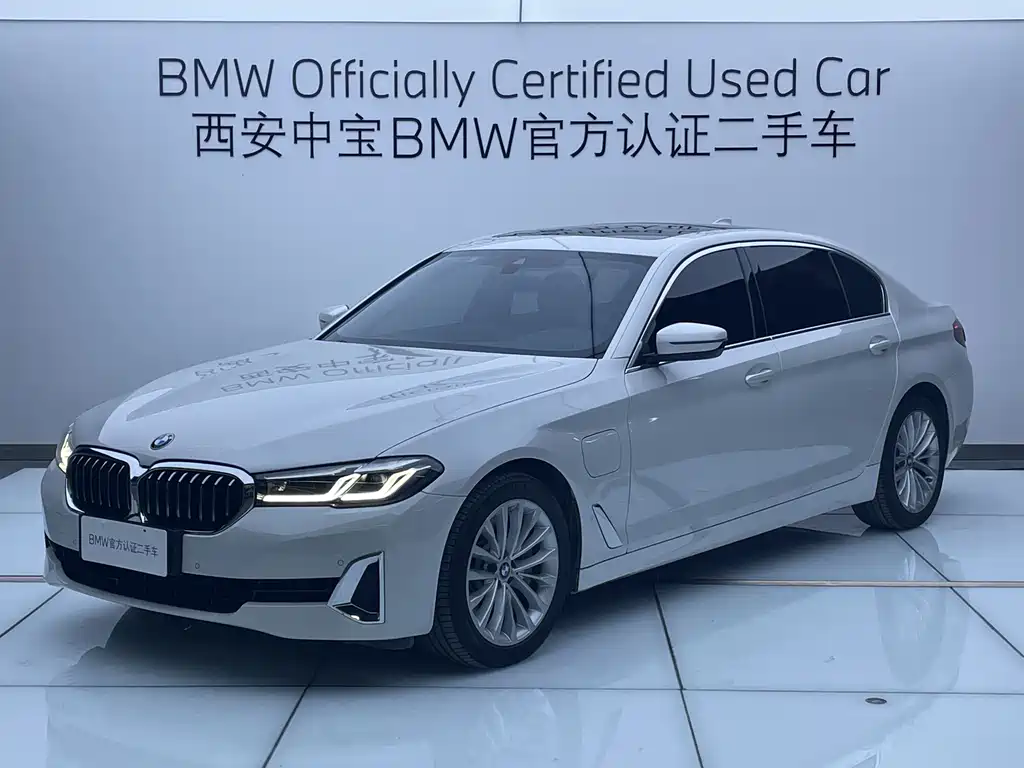 BMW 5 Series New Energy 2021