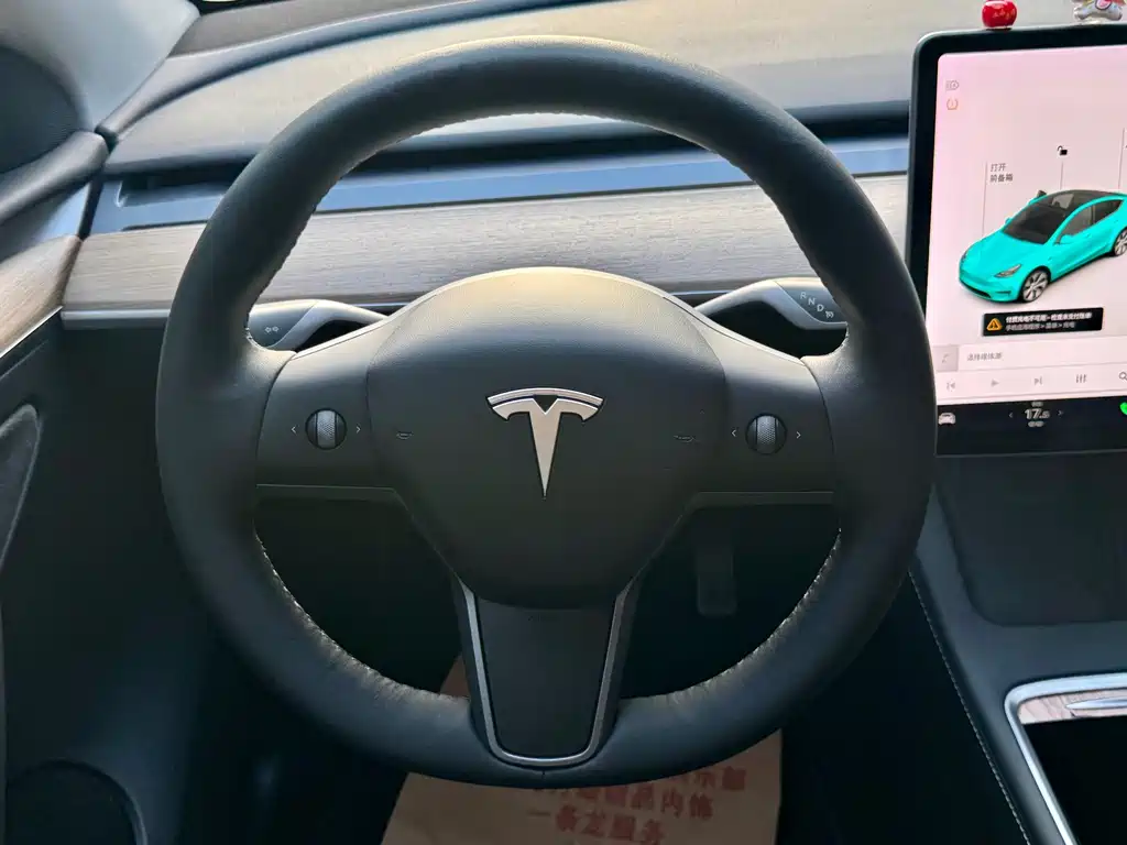 Tesla Model Y — миниатюра 8