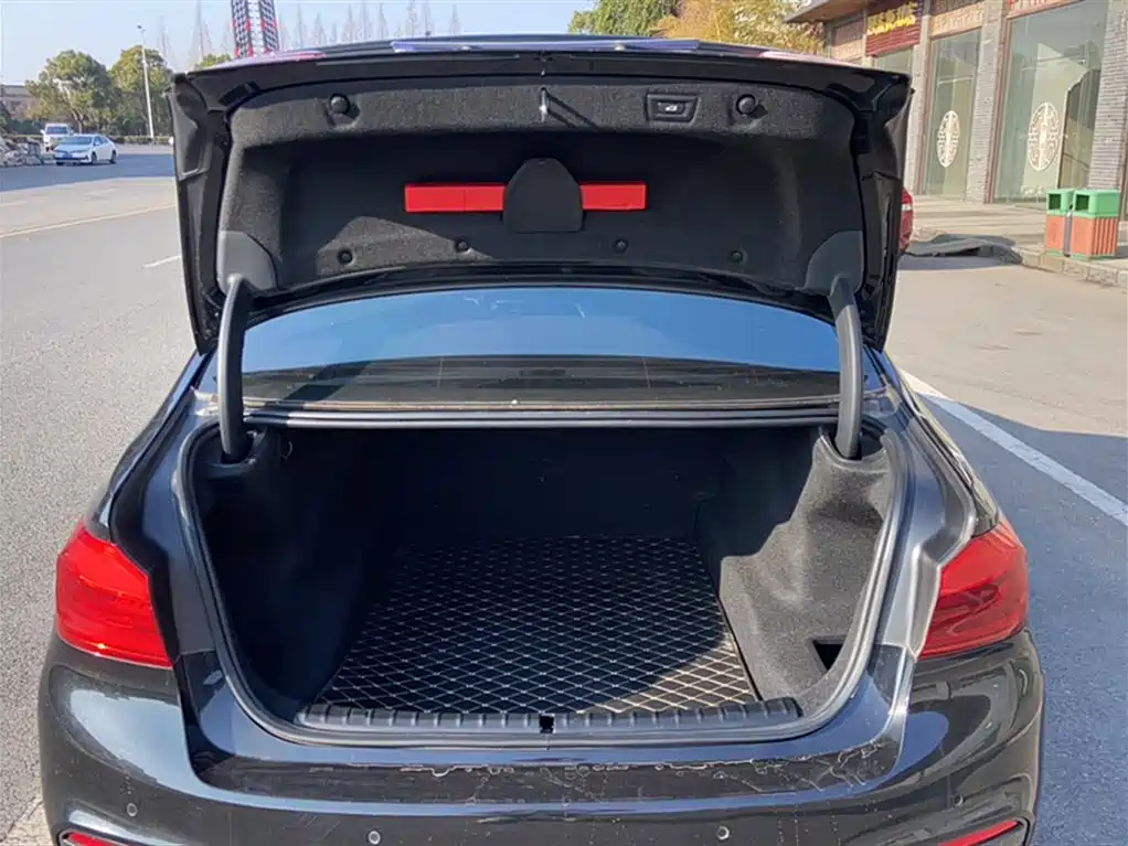 BMW 5 Series 5 2020 525Li M Sport