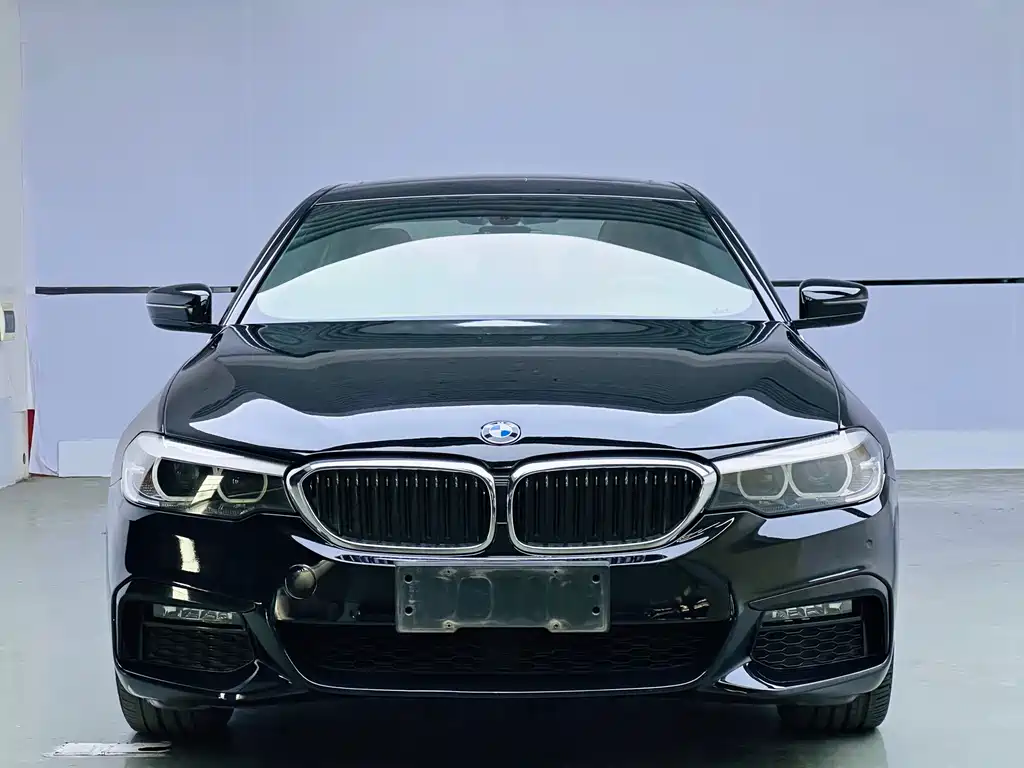 BMW 5 Series — миниатюра 2