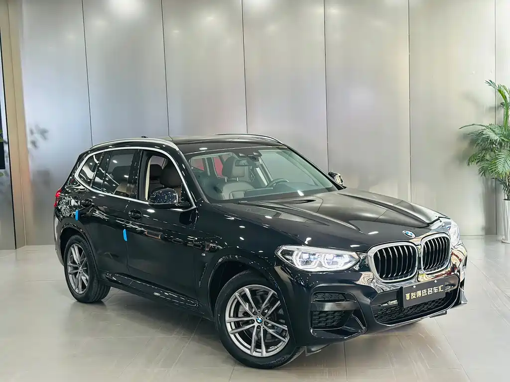 BMW X3 — миниатюра 3