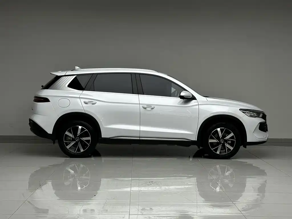BYD Pro New Energy — миниатюра 5
