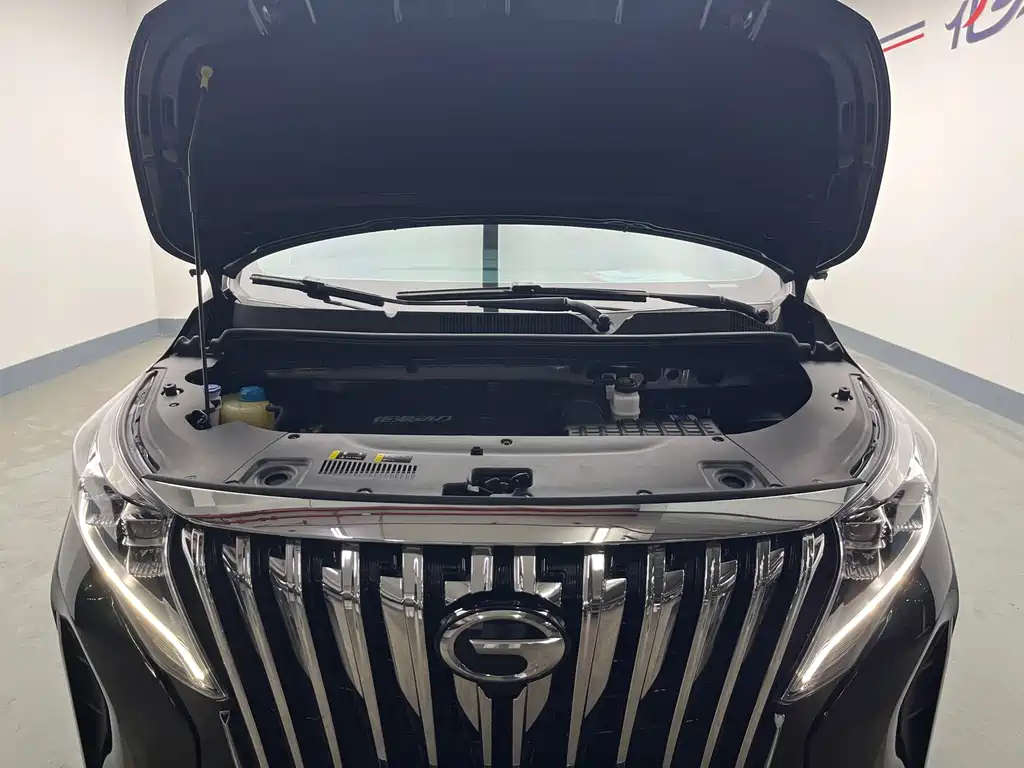 GAC Motor Trumpchi M8 — миниатюра 20