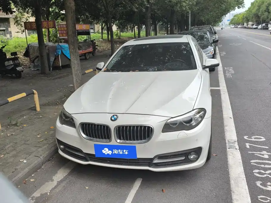 BMW 5 Series (Import) — миниатюра 2