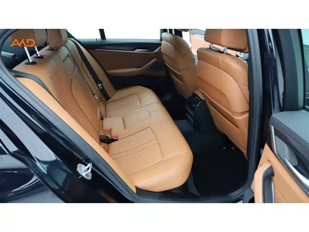 BMW 5 Series 5 2021 530i M Sport