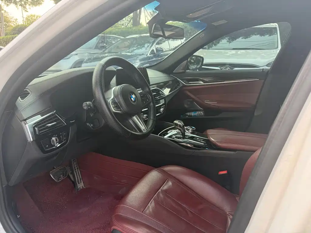 BMW 5 Series 530Li Premium Type M Sport Package, фото 7