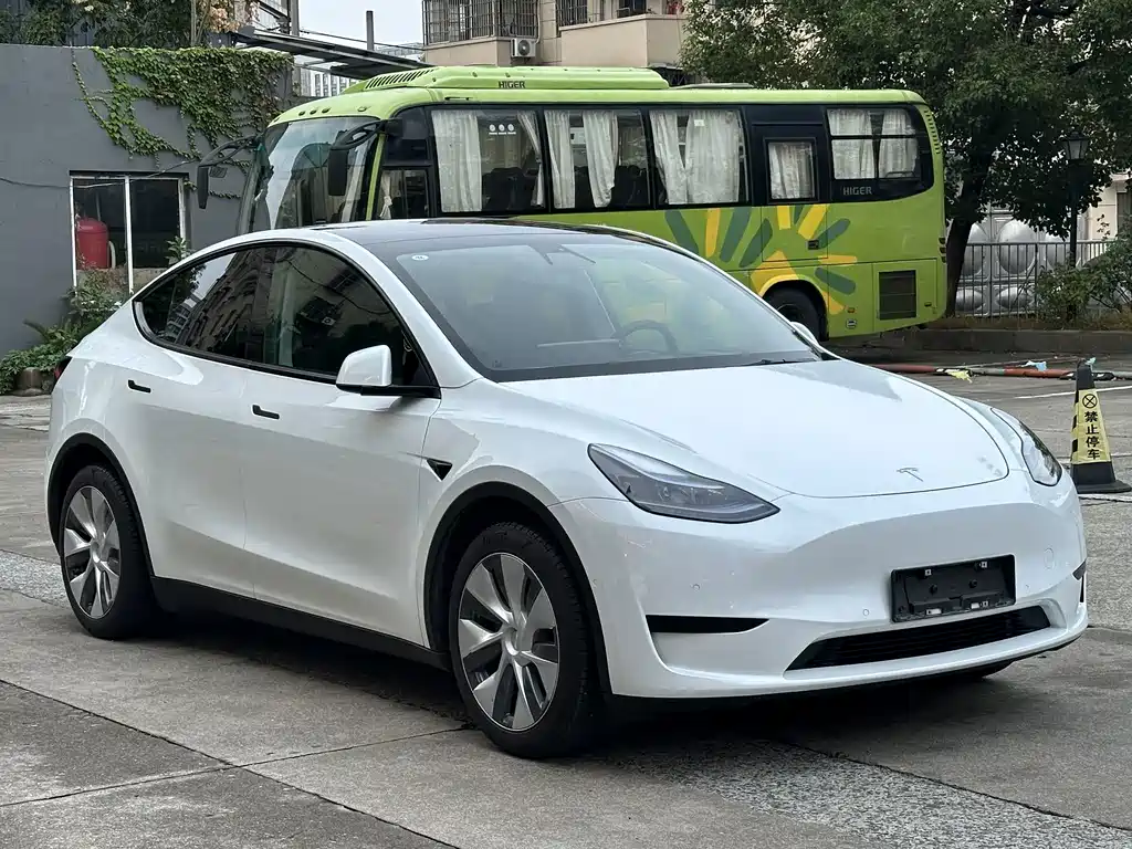 Tesla Model Y — миниатюра 3
